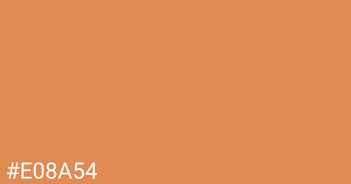 Hex color #e08a54 graphic