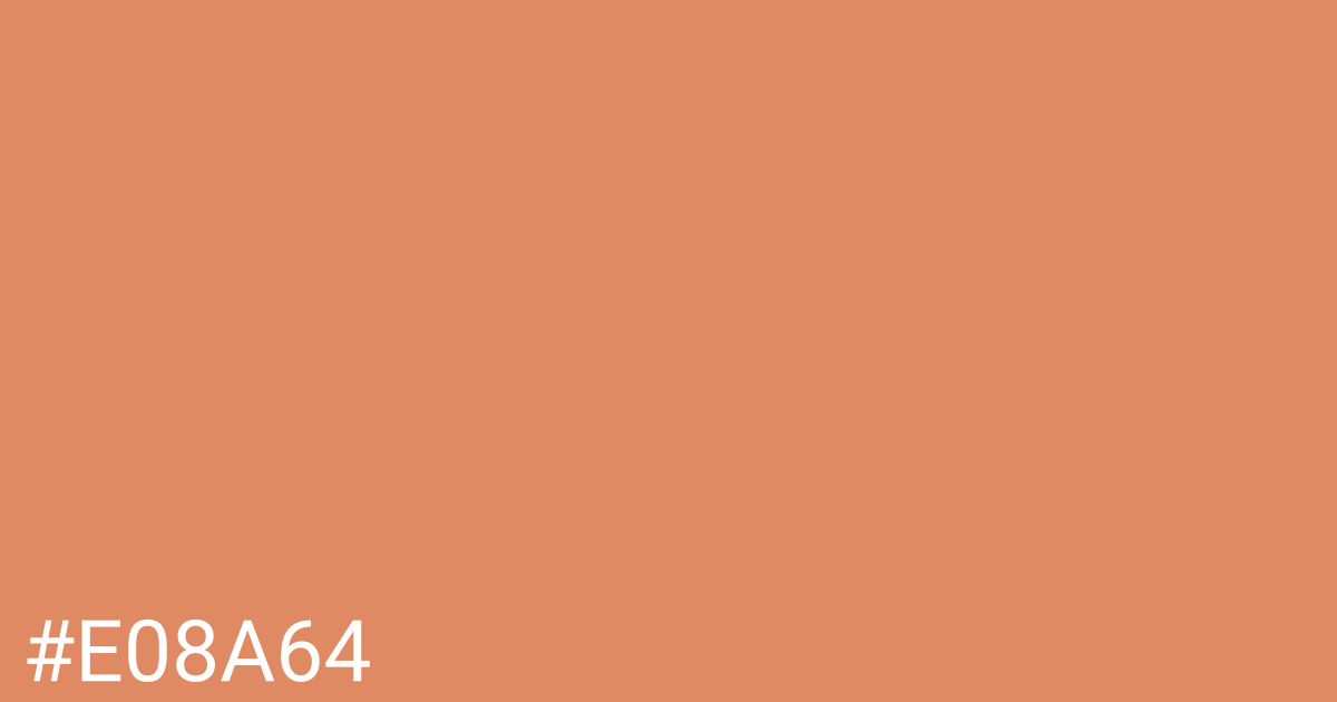 Hex color #e08a64 graphic