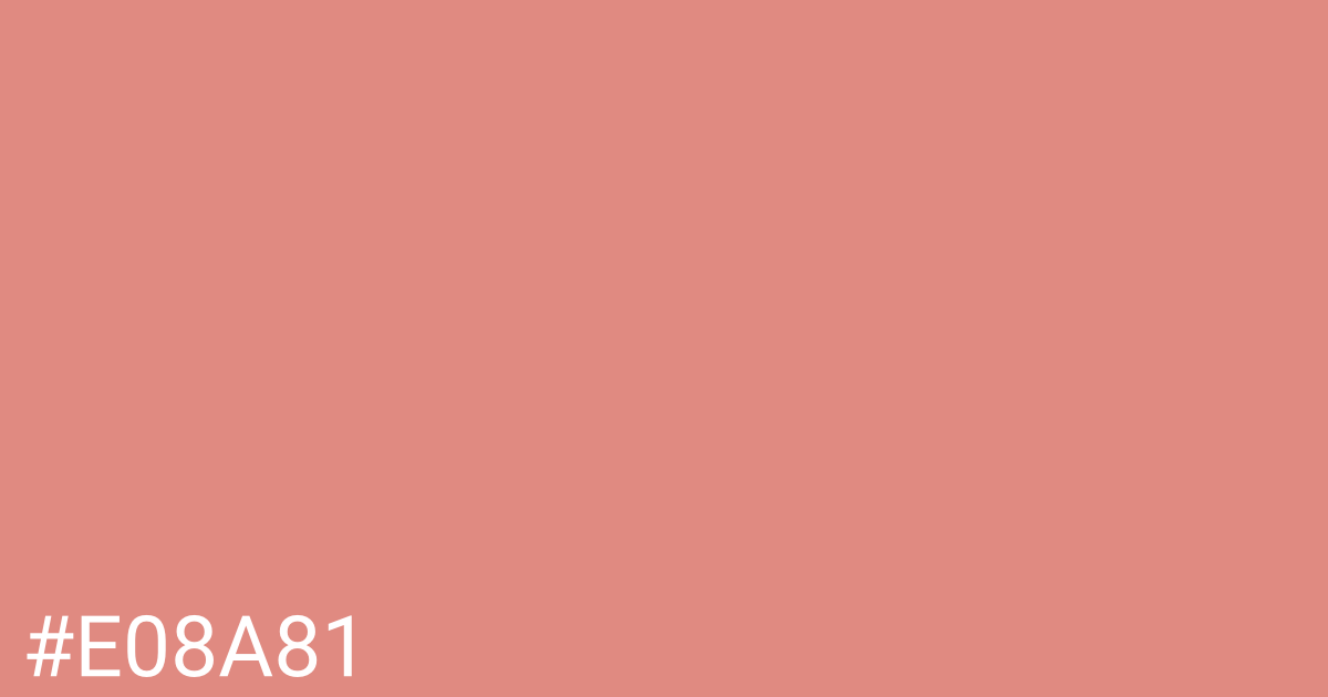 Hex color #e08a81 graphic