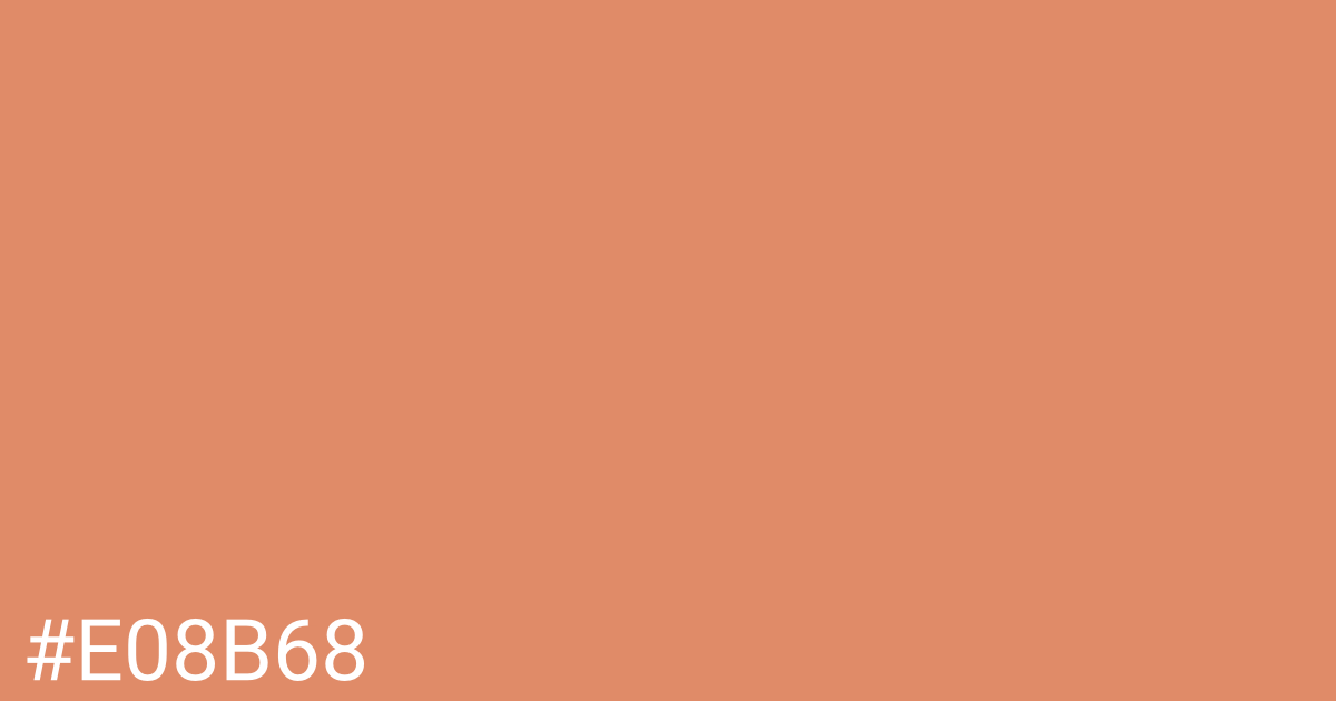 Hex color #e08b68 graphic