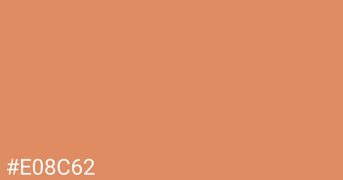 Hex color #e08c62 graphic