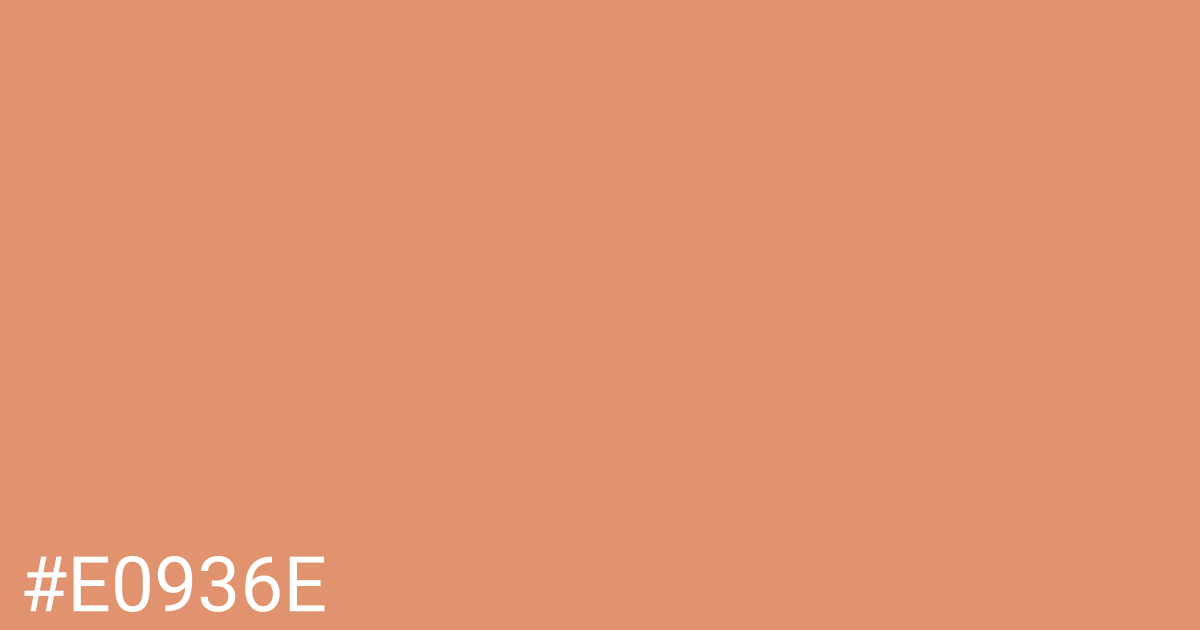 Hex color #e0936e graphic