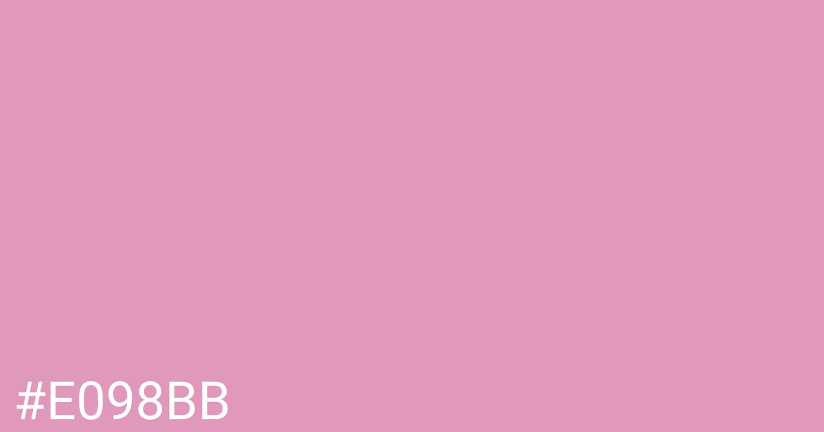 Hex color #e098bb graphic