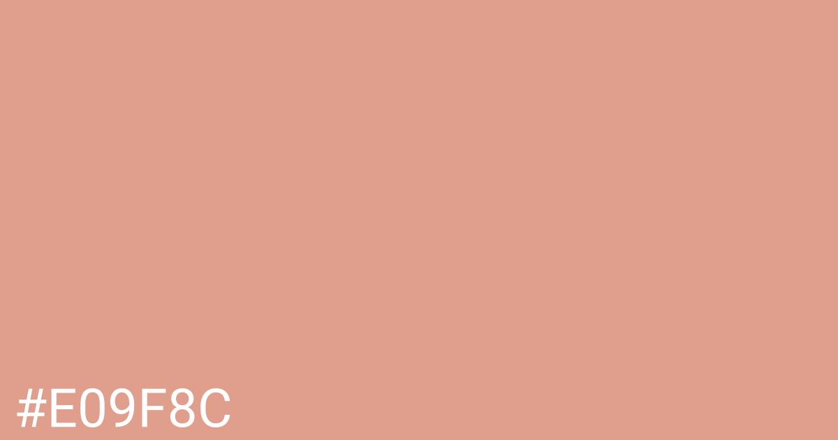 Hex color #e09f8c graphic