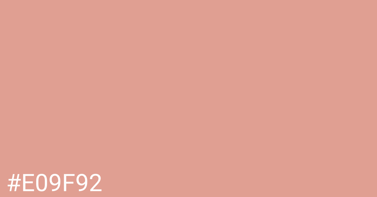 Hex color #e09f92 graphic