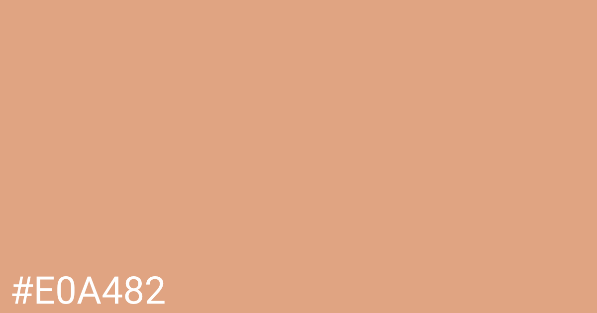 Hex color #e0a482 graphic