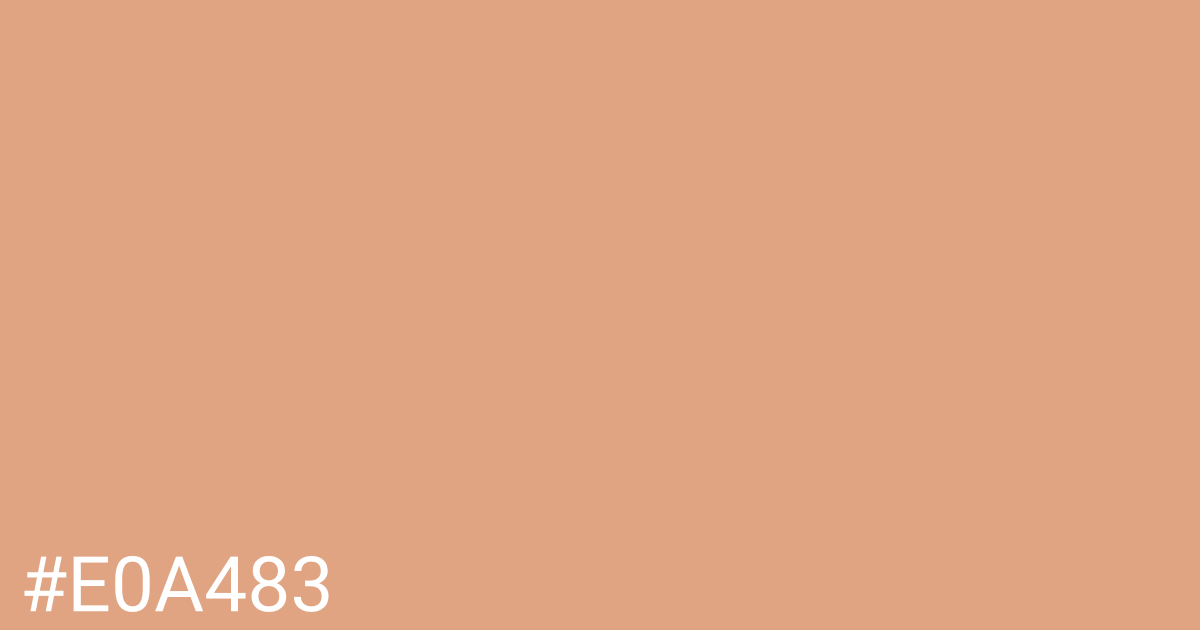 Hex color #e0a483 graphic