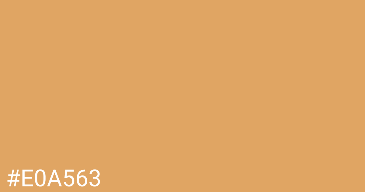 Hex color #e0a563 graphic