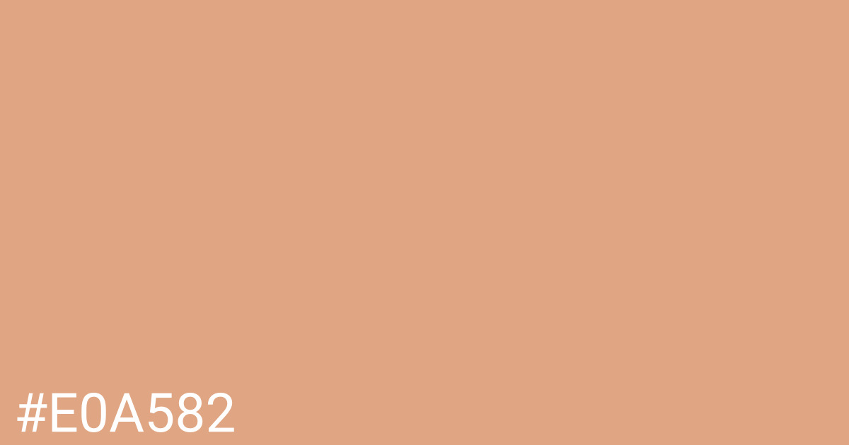 Hex color #e0a582 graphic