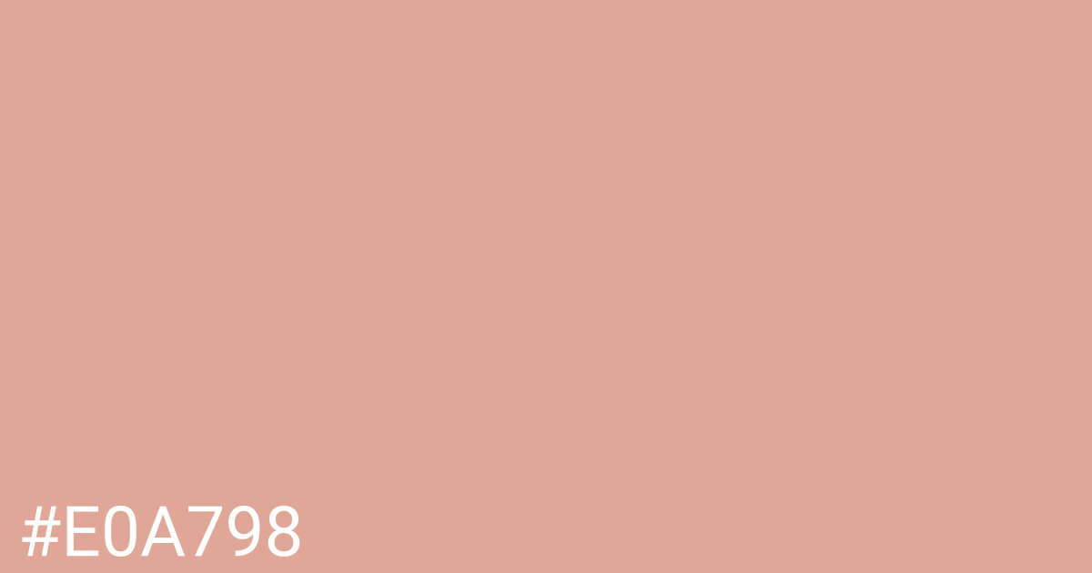 Hex color #e0a798 graphic