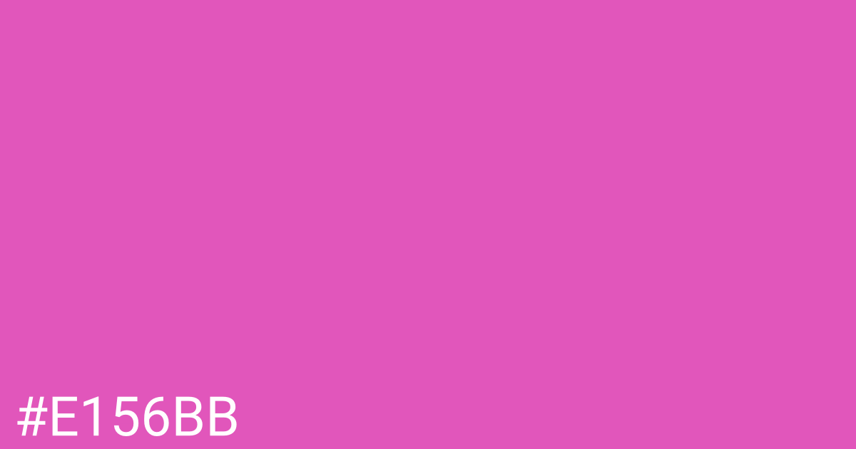 Hex color #e156bb graphic