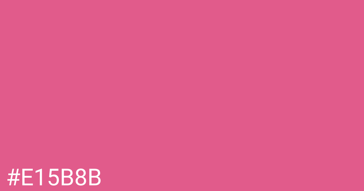 Hex color #e15b8b graphic