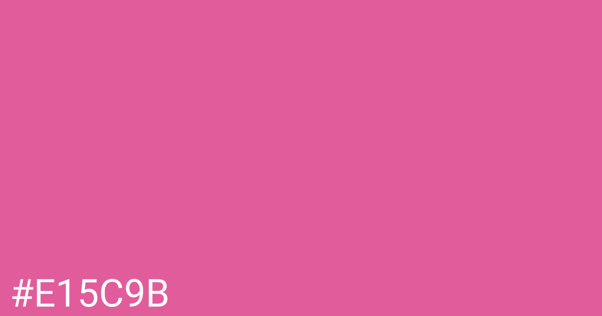 Hex color #e15c9b graphic