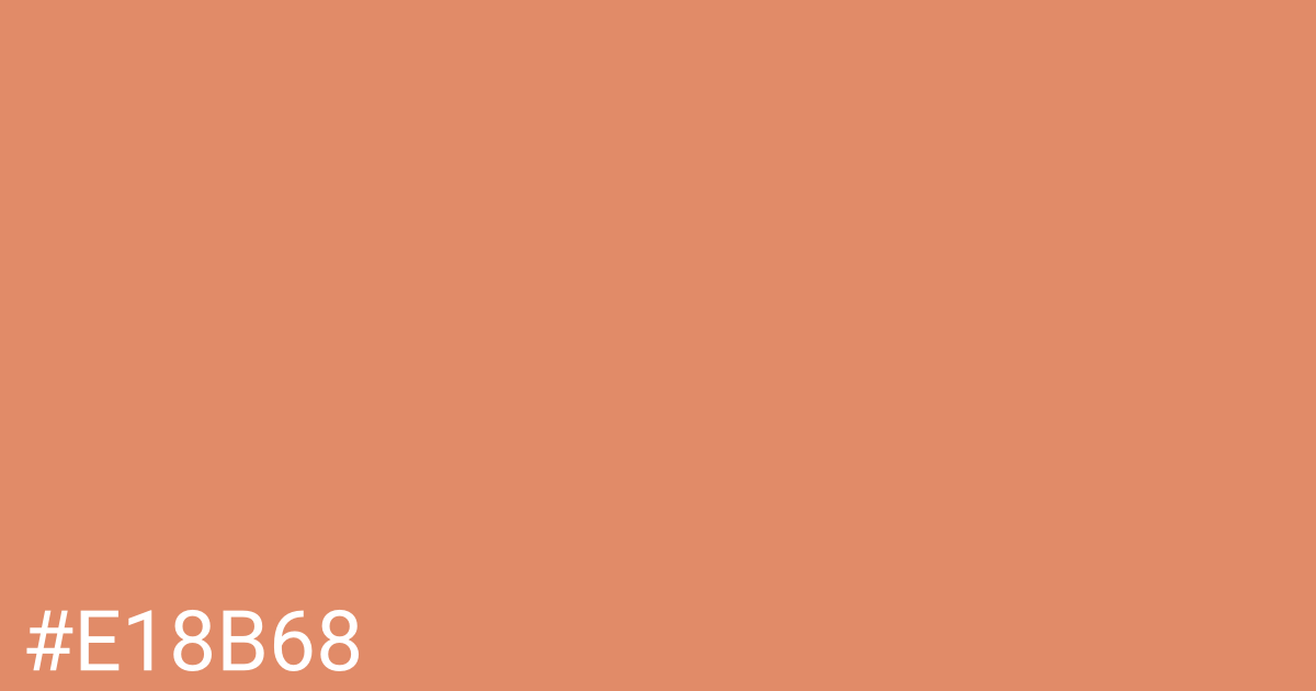 Hex color #e18b68 graphic