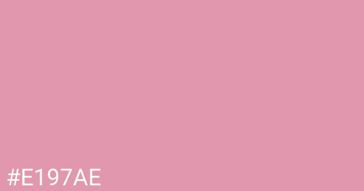 Hex color #e197ae graphic