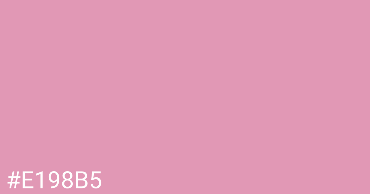 Hex color #e198b5 graphic