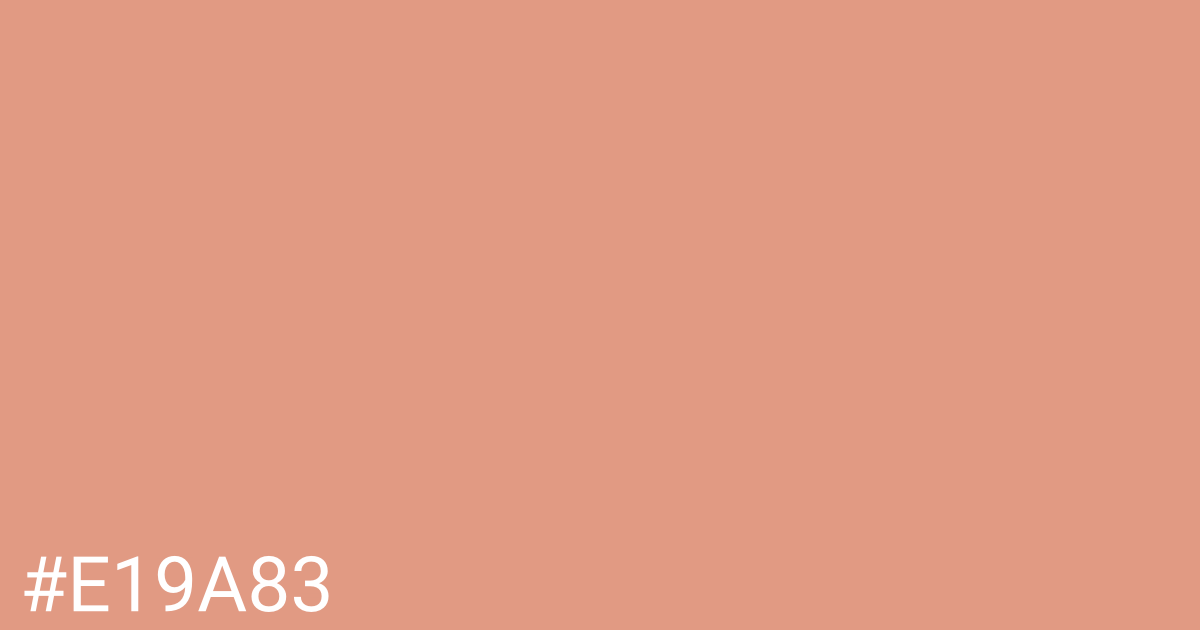 Hex color #e19a83 graphic