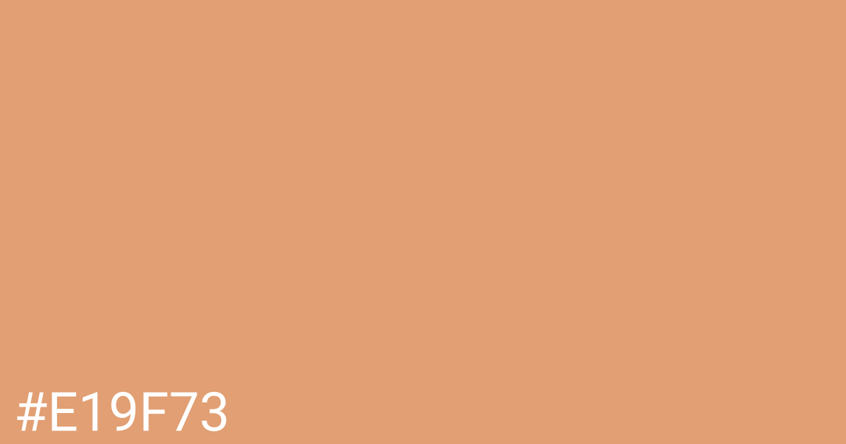 Hex color #e19f73 graphic