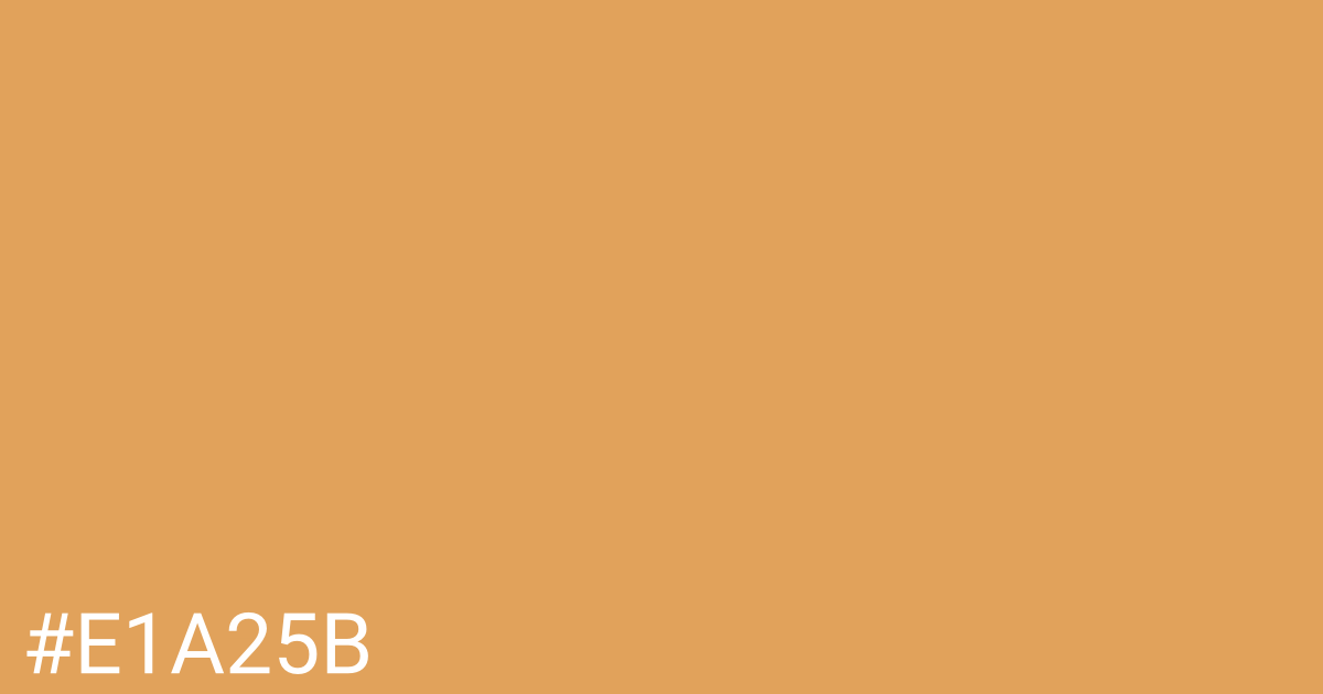 Hex color #e1a25b graphic