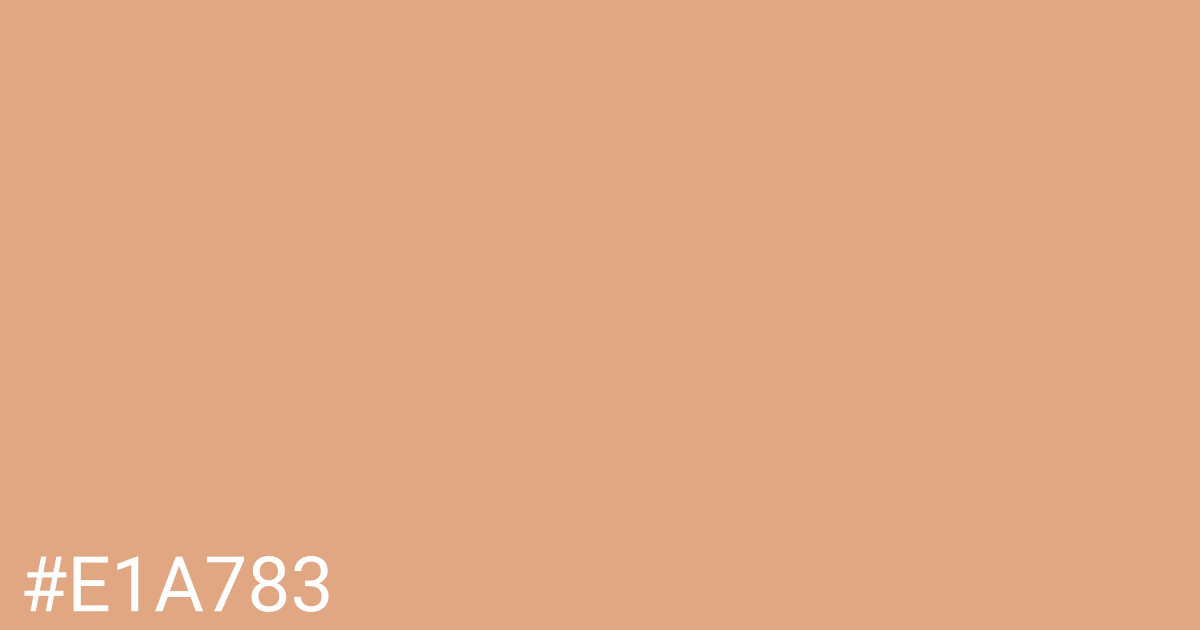 Hex color #e1a783 graphic