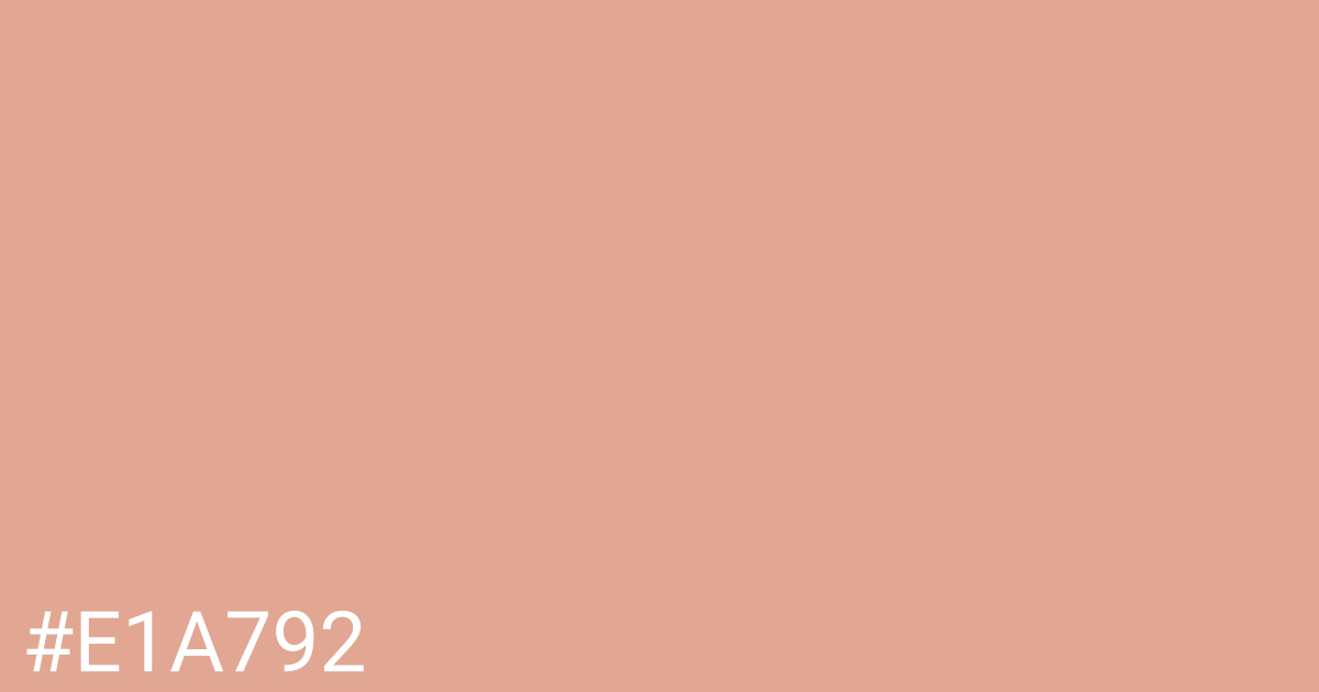 Hex color #e1a792 graphic