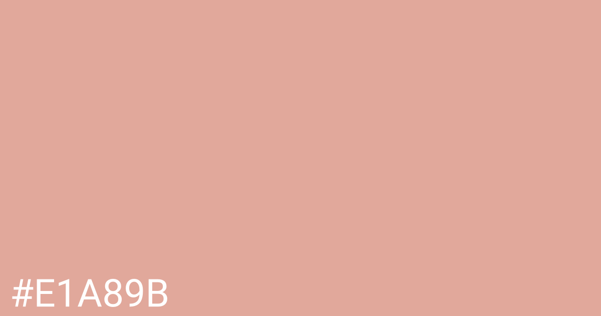 Hex color #e1a89b graphic