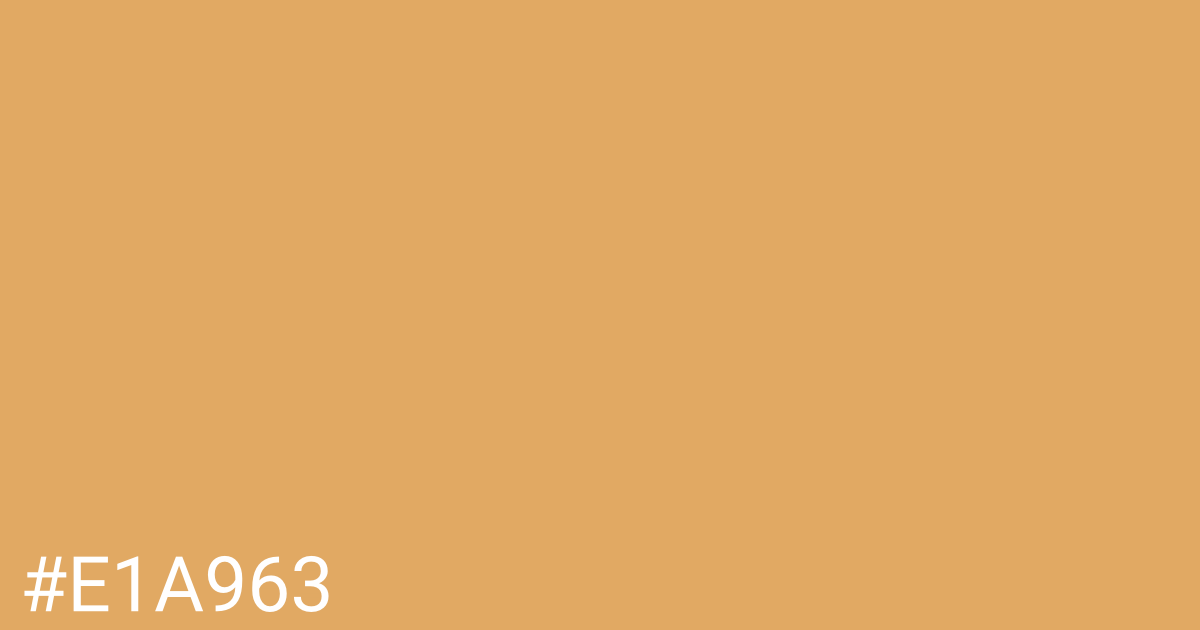 Hex color #e1a963 graphic