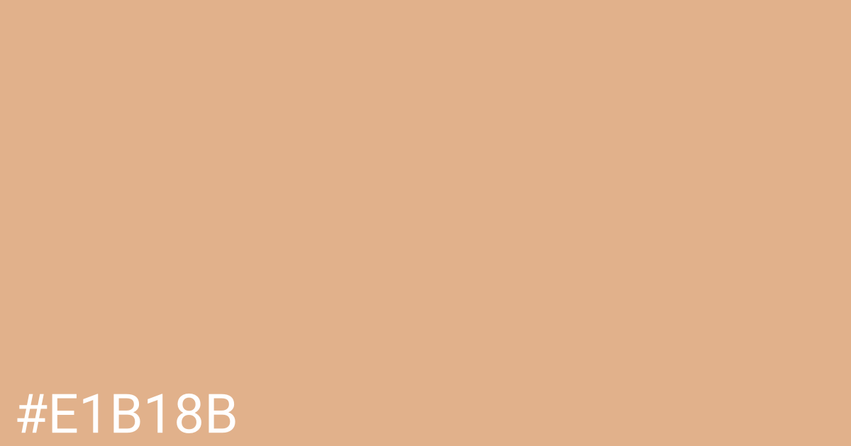 Hex color #e1b18b graphic