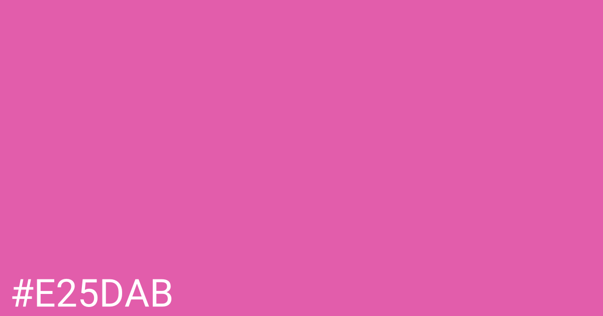 Hex color #e25dab graphic