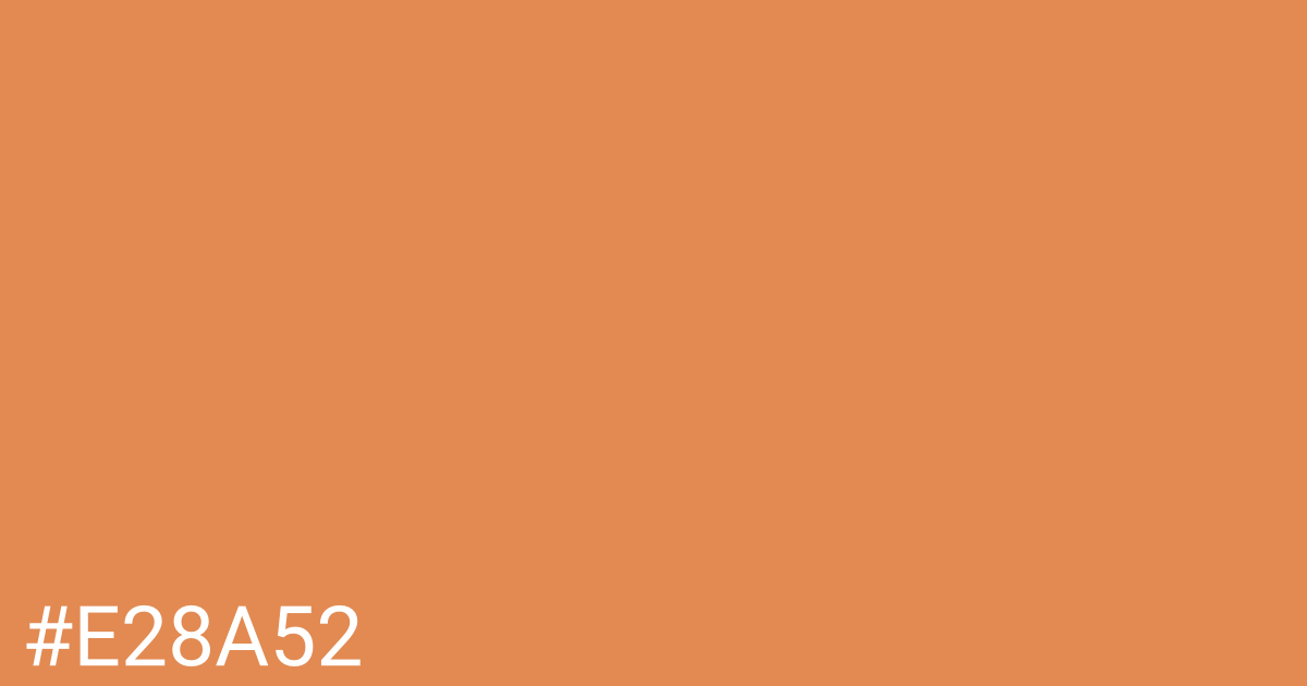 Hex color #e28a52 graphic