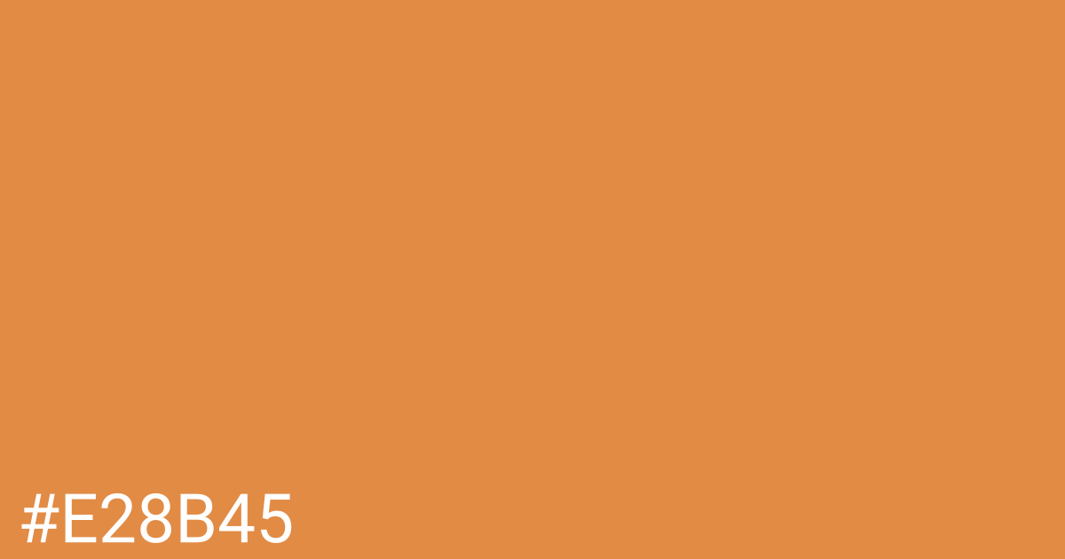 Hex color #e28b45 graphic