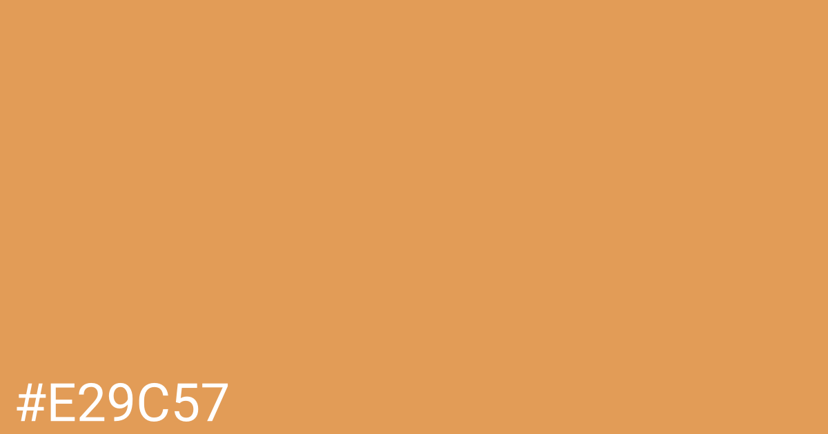 Hex color #e29c57 graphic