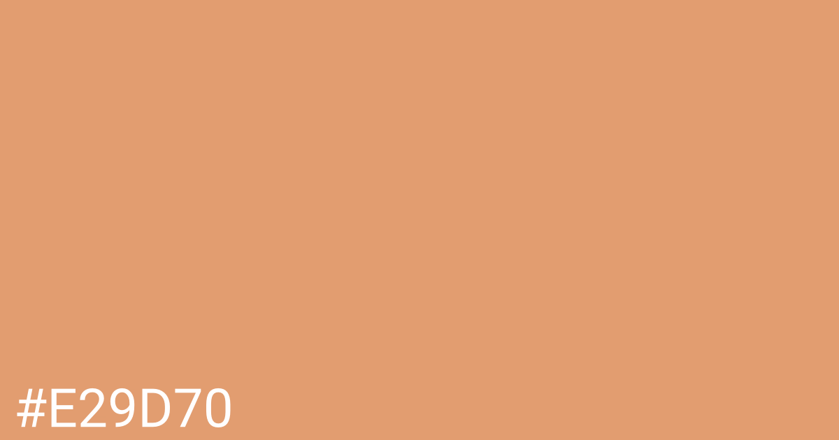Hex color #e29d70 graphic