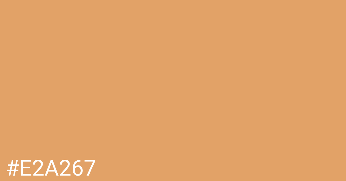 Hex color #e2a267 graphic