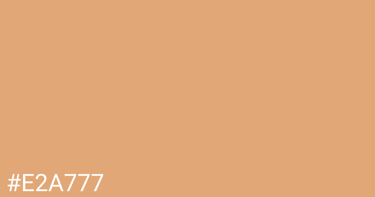 Hex color #e2a777 graphic