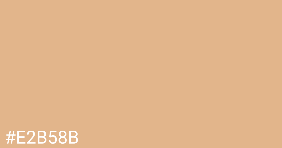 Hex color #e2b58b graphic