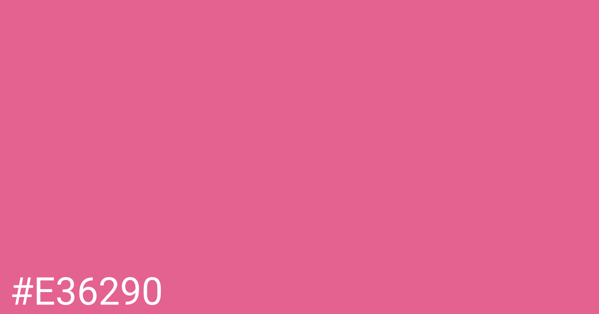 Hex color #e36290 graphic