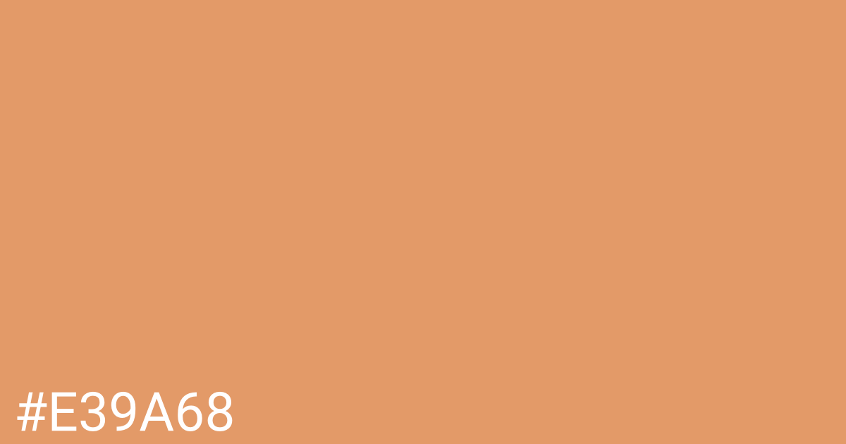 Hex color #e39a68 graphic
