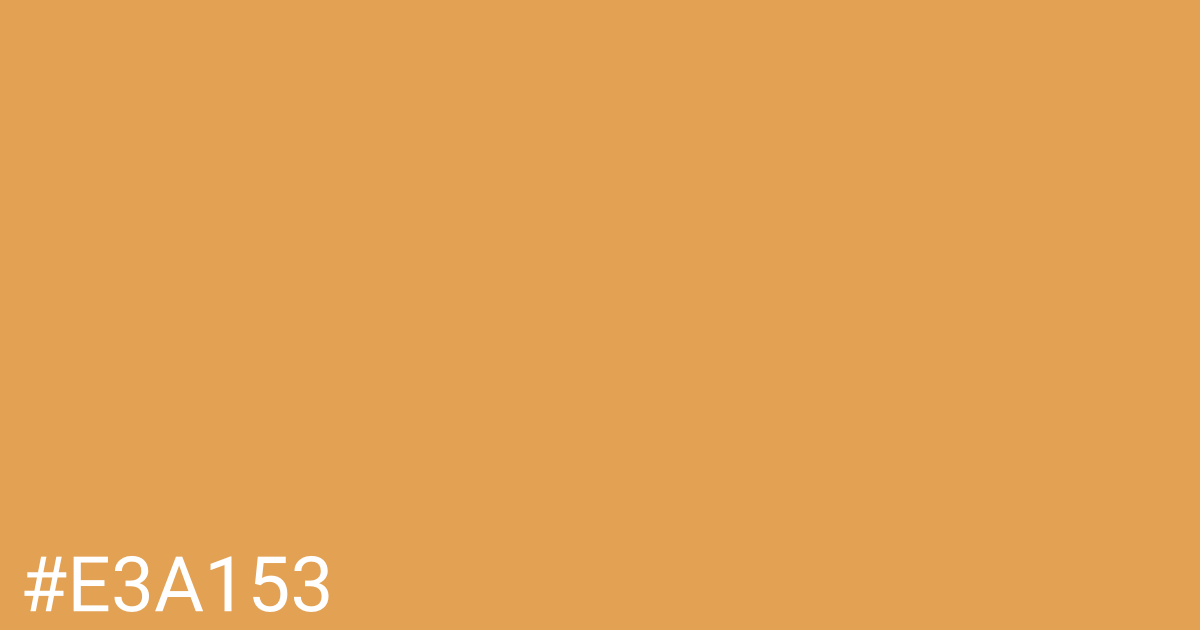 Hex color #e3a153 graphic