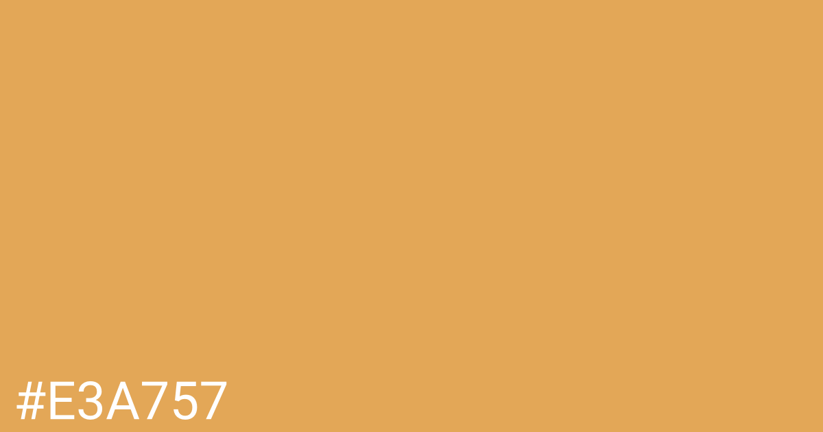 Hex color #e3a757 graphic
