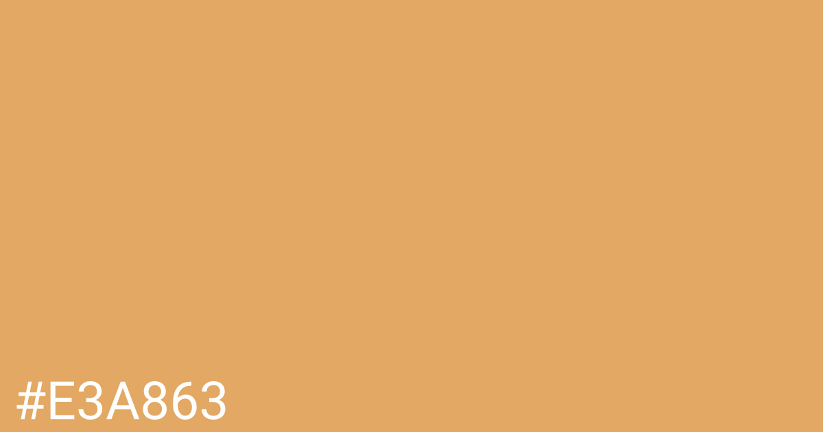 Hex color #e3a863 graphic