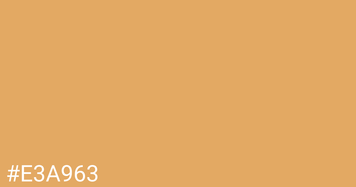 Hex color #e3a963 graphic