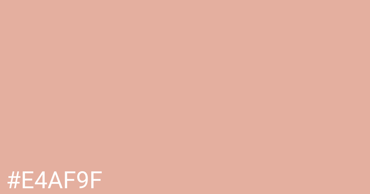 Hex color #e4af9f graphic