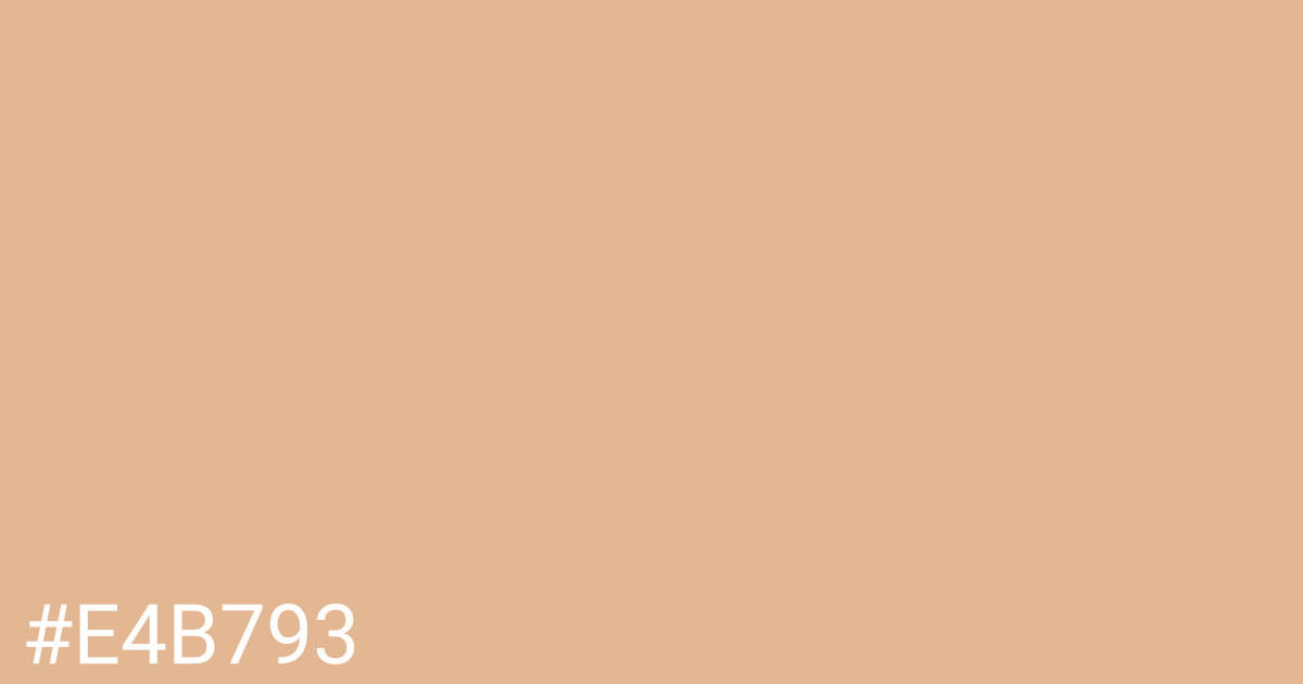 Hex color #e4b793 graphic