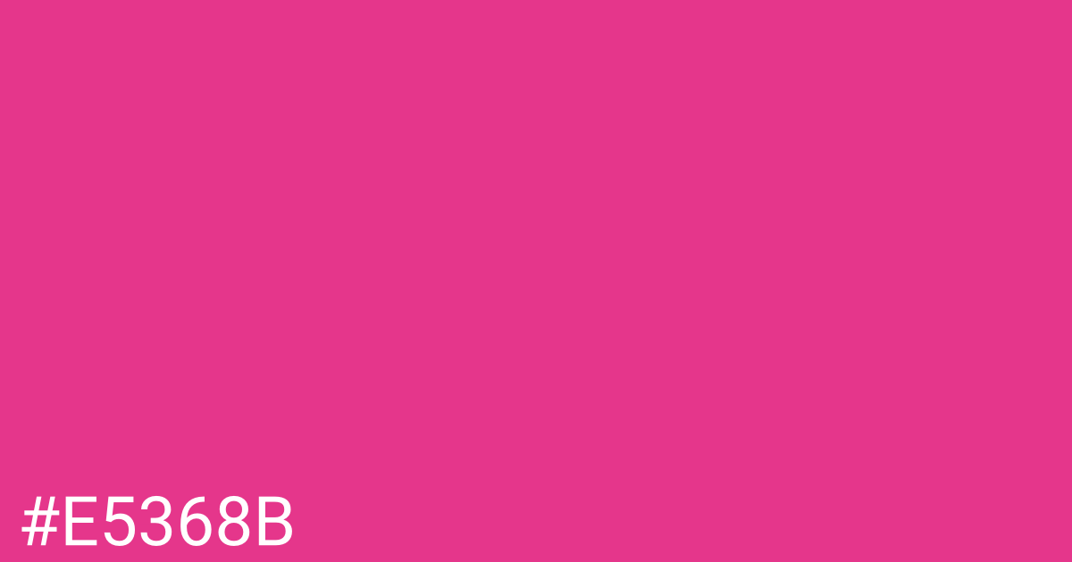 Hex color #e5368b graphic