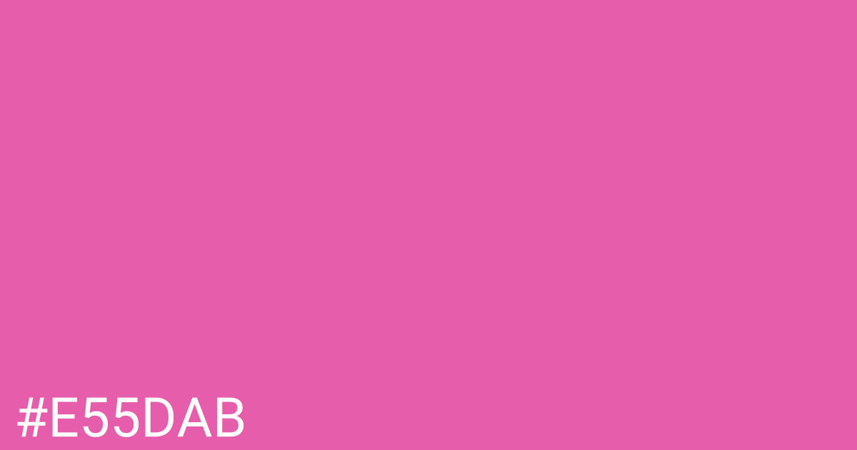 Hex color #e55dab graphic