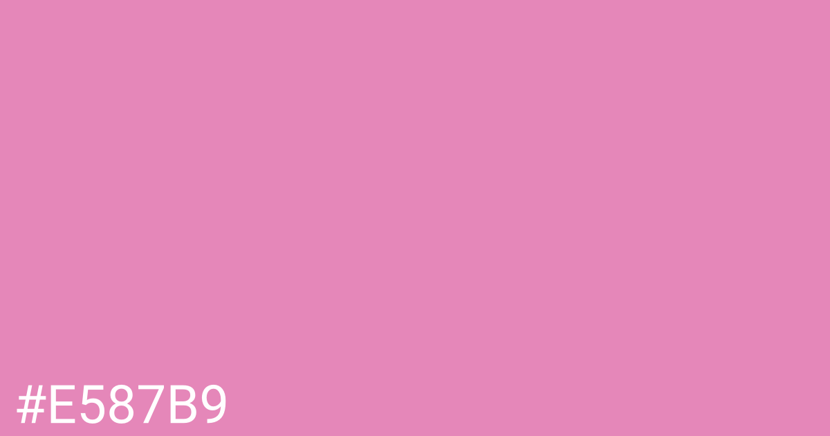 Hex color #e587b9 graphic