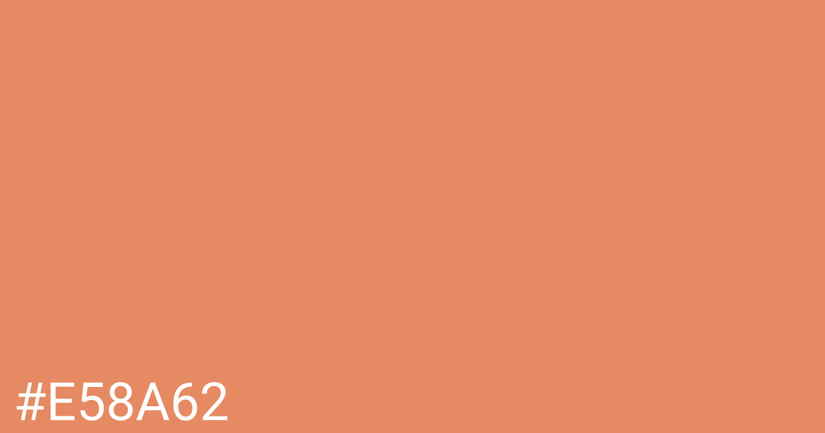 Hex color #e58a62 graphic