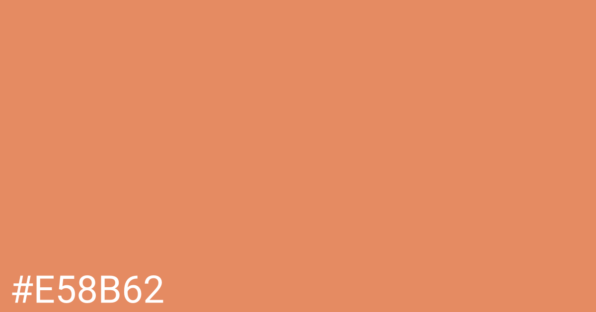 Hex color #e58b62 graphic