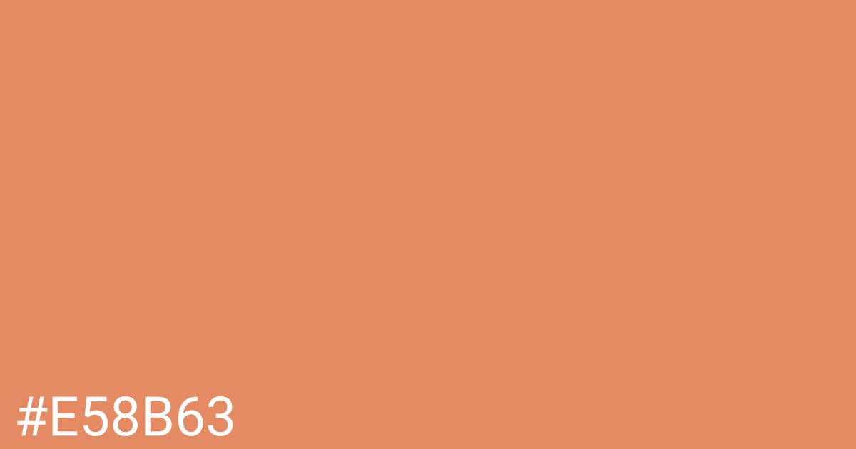 Hex color #e58b63 graphic